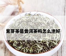 紫芽茶是普洱茶吗怎么泡好