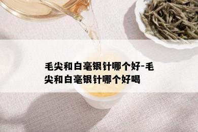 毛尖和白毫银针哪个好-毛尖和白毫银针哪个好喝