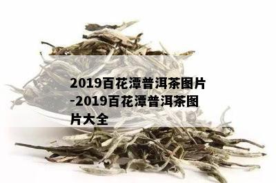 2019百花潭普洱茶图片-2019百花潭普洱茶图片大全