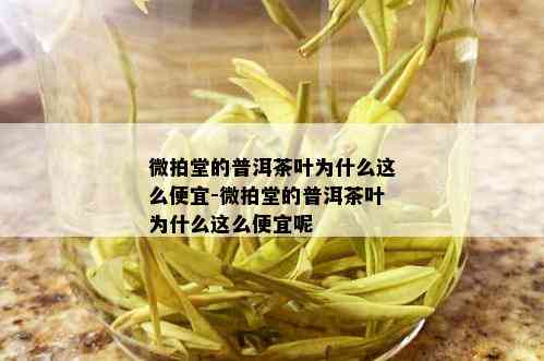 微拍堂的普洱茶叶为什么这么便宜-微拍堂的普洱茶叶为什么这么便宜呢