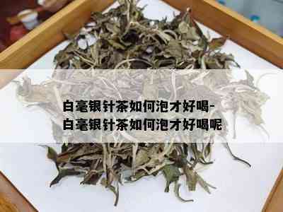 白毫银针茶如何泡才好喝-白毫银针茶如何泡才好喝呢