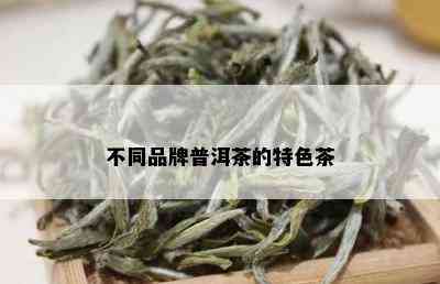 不同品牌普洱茶的特色茶