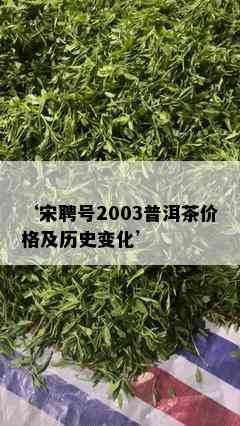 ‘宋聘号2003普洱茶价格及历史变化’