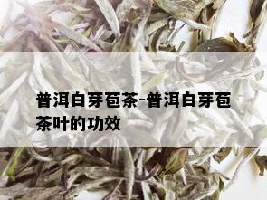 普洱白芽苞茶-普洱白芽苞茶叶的功效