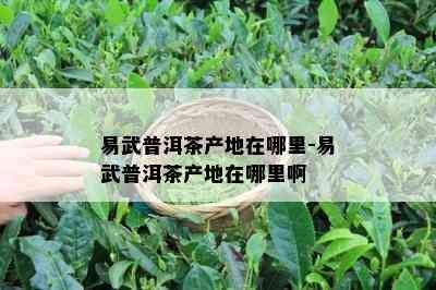 易武普洱茶产地在哪里-易武普洱茶产地在哪里啊