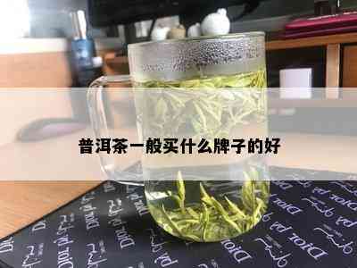 普洱茶一般买什么牌子的好