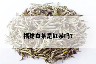 福建白茶是红茶吗？