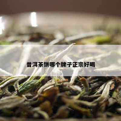 普洱茶饼哪个牌子正宗好喝