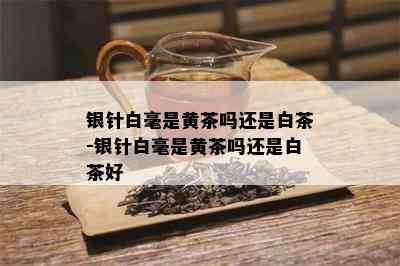 银针白毫是黄茶吗还是白茶-银针白毫是黄茶吗还是白茶好