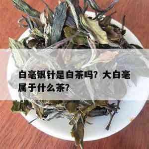 白毫银针是白茶吗？大白毫属于什么茶？