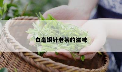 白毫银针老茶的滋味