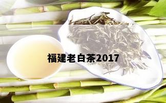 福建老白茶2017