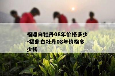 福鼎白牡丹08年价格多少-福鼎白牡丹08年价格多少钱