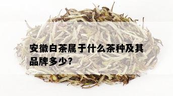 安徽白茶属于什么茶种及其品牌多少?