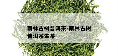 雨林古树普洱茶-雨林古树普洱茶生茶