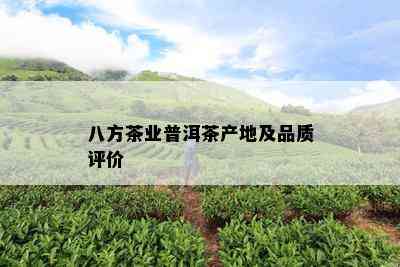 八方茶业普洱茶产地及品质评价