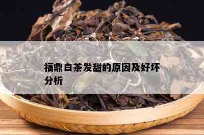 福鼎白茶发甜的原因及好坏分析