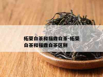 柘荣白茶和福鼎白茶-柘荣白茶和福鼎白茶区别