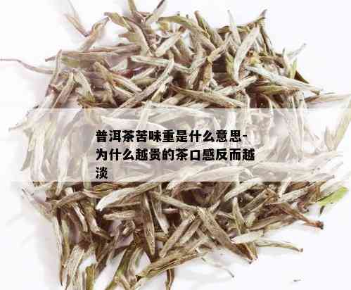 普洱茶苦味重是什么意思-为什么越贵的茶口感反而越淡