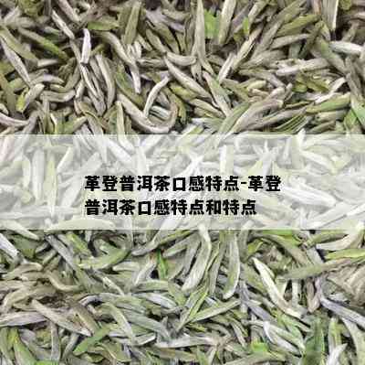 革登普洱茶口感特点-革登普洱茶口感特点和特点