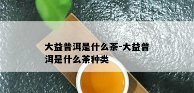 大益普洱是什么茶-大益普洱是什么茶种类