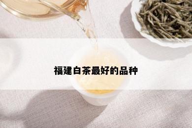 福建白茶更好的品种