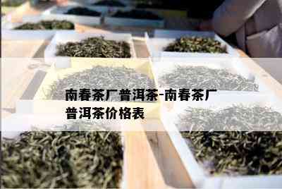 南春茶厂普洱茶-南春茶厂普洱茶价格表