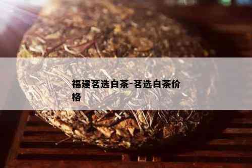 福建茗选白茶-茗选白茶价格