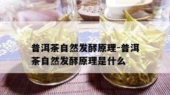 普洱茶自然发酵原理-普洱茶自然发酵原理是什么