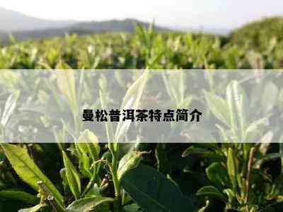 曼松普洱茶特点简介