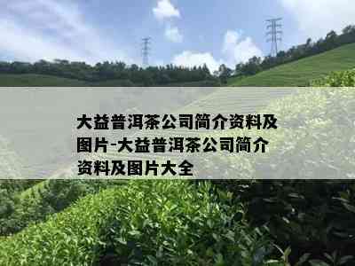 大益普洱茶公司简介资料及图片-大益普洱茶公司简介资料及图片大全