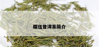 糯伍普洱茶简介