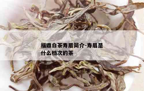 福鼎白茶寿眉简介-寿眉是什么档次的茶