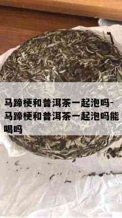 马蹄梗和普洱茶一起泡吗-马蹄梗和普洱茶一起泡吗能喝吗