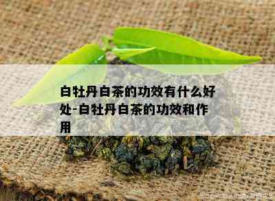 白牡丹白茶的功效有什么好处-白牡丹白茶的功效和作用