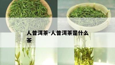 人普洱茶-人普洱茶是什么茶