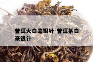 普洱大白毫银针-普洱茶白毫银针