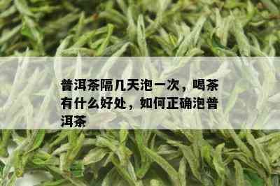 普洱茶隔几天泡一次，喝茶有什么好处，如何正确泡普洱茶