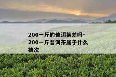 200一斤的普洱茶差吗-200一斤普洱茶属于什么档次