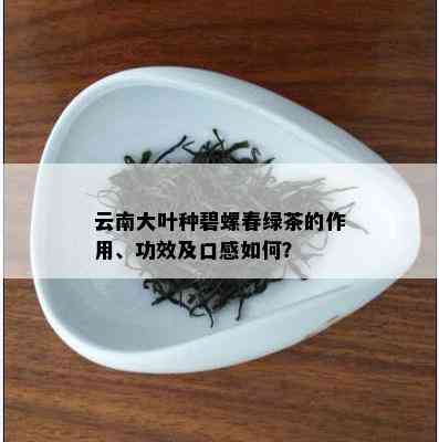 云南大叶种碧螺春绿茶的作用、功效及口感如何？