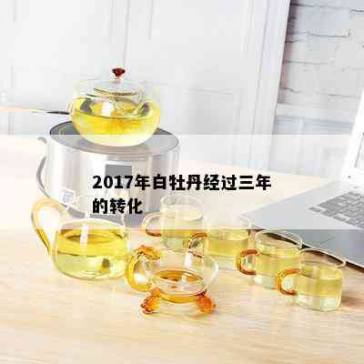 2017年白牡丹经过三年的转化