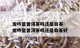 龙吟是普洱茶吗还是白茶-龙吟是普洱茶吗还是白茶好