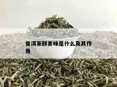 普洱茶酵素味是什么及其作用