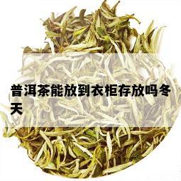 普洱茶能放到衣柜存放吗冬天