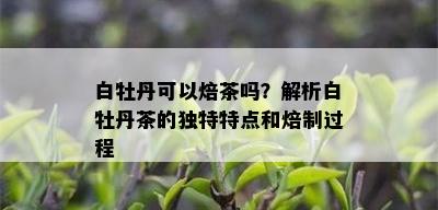 白牡丹可以焙茶吗？解析白牡丹茶的独特特点和焙制过程