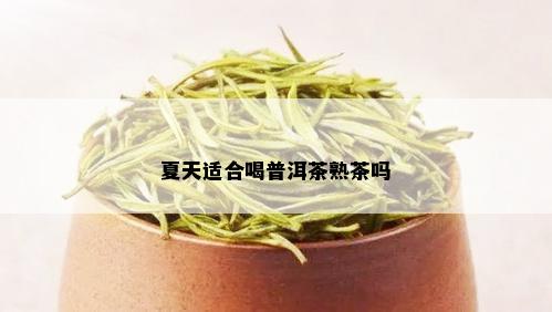 夏天适合喝普洱茶熟茶吗