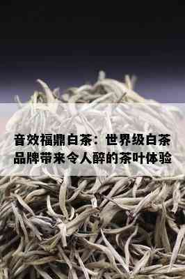 音效福鼎白茶：世界级白茶品牌带来令人醉的茶叶体验