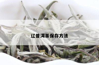 辽普洱茶保存方法