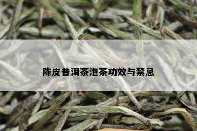 陈皮普洱茶泡茶功效与禁忌