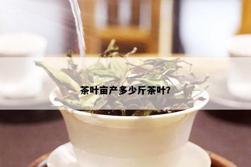 茶叶亩产多少斤茶叶？